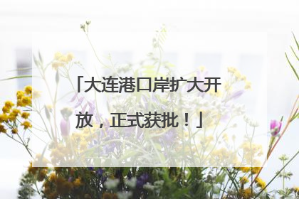 大连港口岸扩大开放，正式获批！