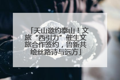 天山邀约泰山！文旅“西引力”催生文旅合作签约，鲁新共绘丝路诗与远方