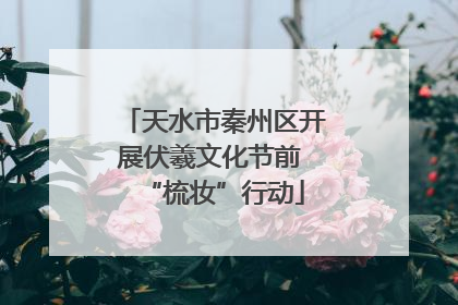 天水市秦州区开展伏羲文化节前 “梳妆”行动