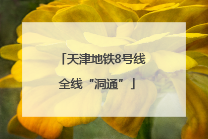 天津地铁8号线全线“洞通”