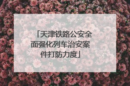 天津铁路公安全面强化列车治安案件打防力度