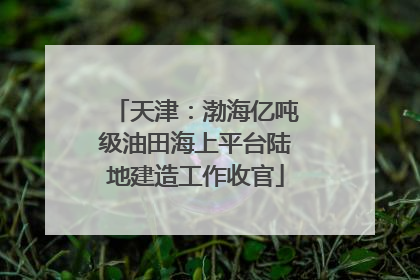 天津：渤海亿吨级油田海上平台陆地建造工作收官