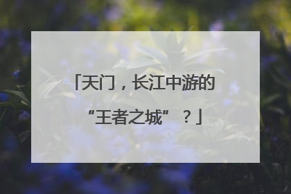 天门，长江中游的“王者之城”？