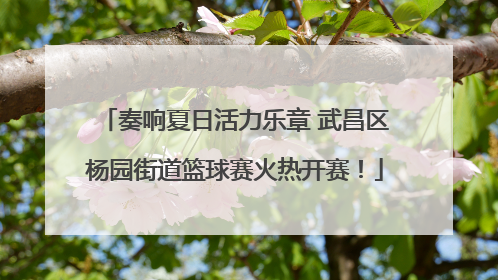 奏响夏日活力乐章 武昌区杨园街道篮球赛火热开赛！