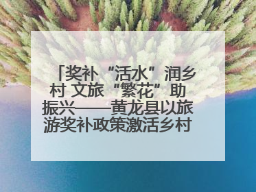 奖补“活水”润乡村 文旅“繁花”助振兴——黄龙县以旅游奖补政策激活乡村振兴新动能