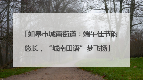 如皋市城南街道：端午佳节韵悠长，“城南田语”梦飞扬