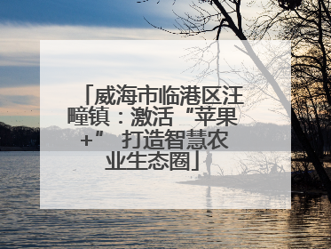 威海市临港区汪疃镇：激活“苹果+” 打造智慧农业生态圈
