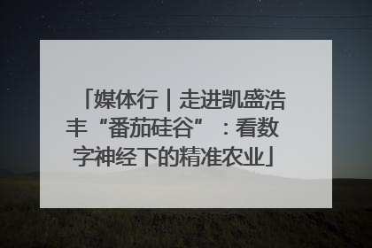 媒体行｜走进凯盛浩丰“番茄硅谷”：看数字神经下的精准农业