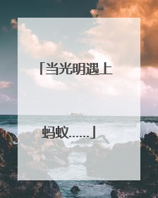 当光明遇上蚂蚁……