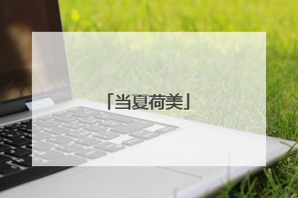当夏荷美