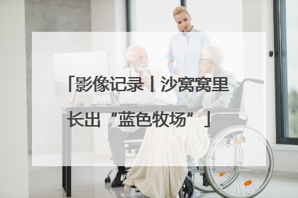 影像记录丨沙窝窝里长出“蓝色牧场”
