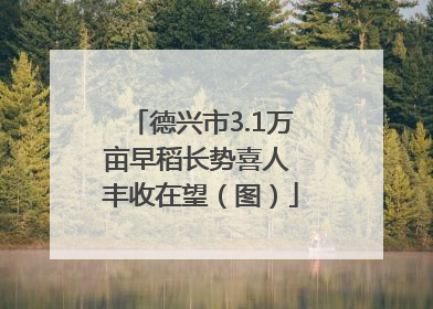 德兴市3.1万亩早稻长势喜人 丰收在望（图）