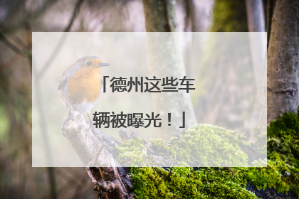 德州这些车辆被曝光！