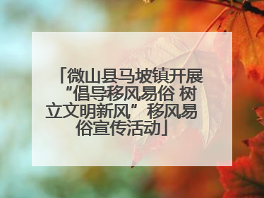 微山县马坡镇开展“倡导移风易俗 树立文明新风”移风易俗宣传活动