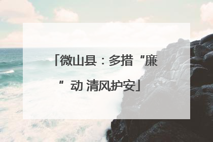 微山县：多措“廉”动 清风护安