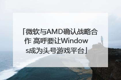 微软与AMD确认战略合作 高呼要让Windows成为头号游戏平台
