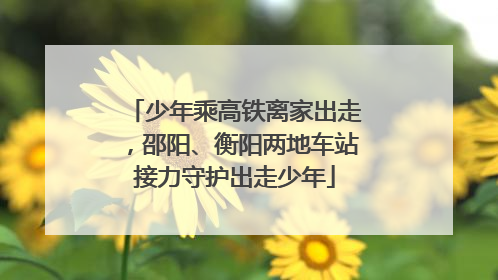 少年乘高铁离家出走，邵阳、衡阳两地车站接力守护出走少年