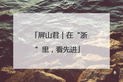屏山君｜在“浙”里，看先进