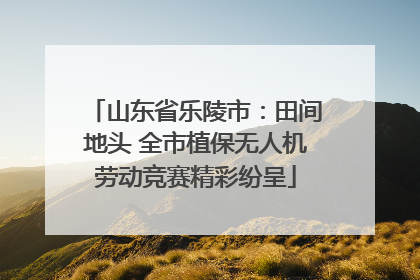 山东省乐陵市：田间地头 全市植保无人机劳动竞赛精彩纷呈
