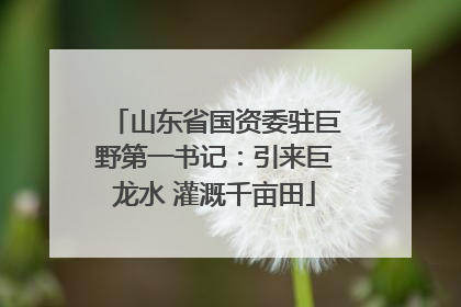 山东省国资委驻巨野第一书记：引来巨龙水 灌溉千亩田