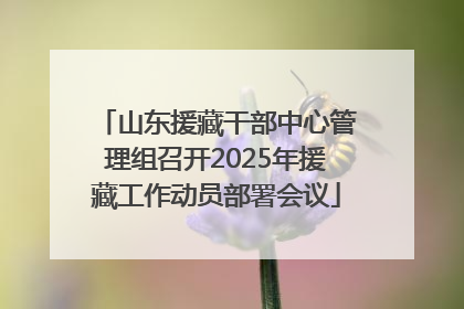 山东援藏干部中心管理组召开2025年援藏工作动员部署会议