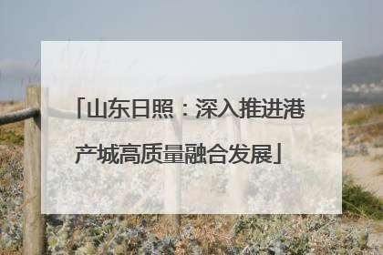 山东日照：深入推进港产城高质量融合发展