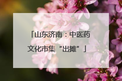 山东济南：中医药文化市集“出摊”