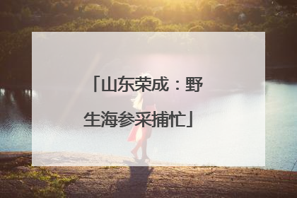 山东荣成：野生海参采捕忙