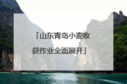 山东青岛小麦收获作业全面展开