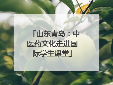 山东青岛：中医药文化走进国际学生课堂