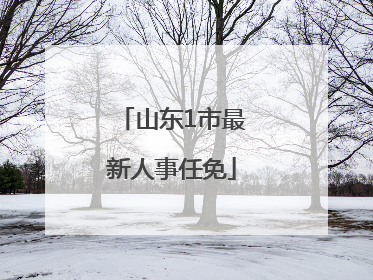 山东1市最新人事任免