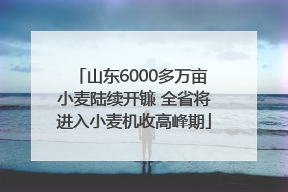 山东6000多万亩小麦陆续开镰 全省将进入小麦机收高峰期