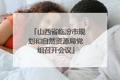 山西省临汾市规划和自然资源局党组召开会议