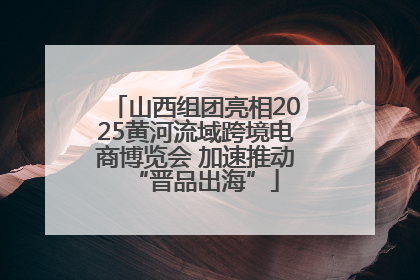 山西组团亮相2025黄河流域跨境电商博览会 加速推动“晋品出海”