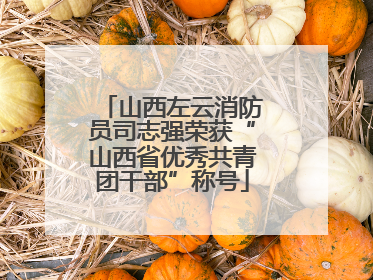 山西左云消防员司志强荣获“山西省优秀共青团干部”称号