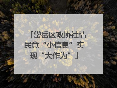 岱岳区政协社情民意“小信息”实现“大作为”