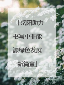 岳阳助力书写中非能源绿色发展新篇章