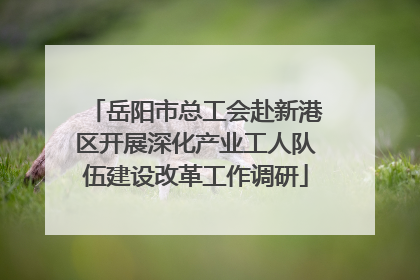 岳阳市总工会赴新港区开展深化产业工人队伍建设改革工作调研