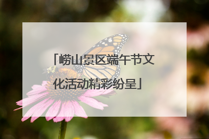 崂山景区端午节文化活动精彩纷呈