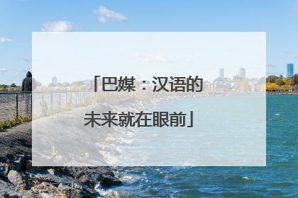 巴媒：汉语的未来就在眼前
