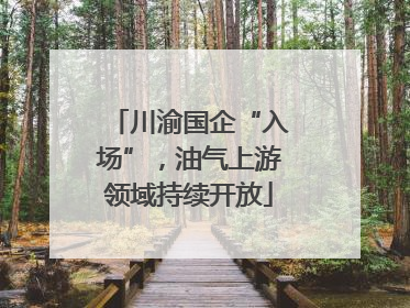 川渝国企“入场”，油气上游领域持续开放