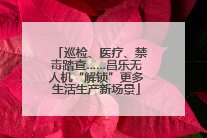 巡检、医疗、禁毒踏查……昌乐无人机“解锁”更多生活生产新场景