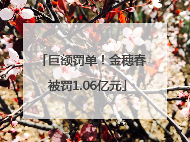 巨额罚单！金穗春被罚1.06亿元