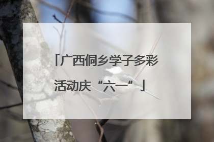广西侗乡学子多彩活动庆“六一”