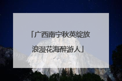 广西南宁秋英绽放 浪漫花海醉游人