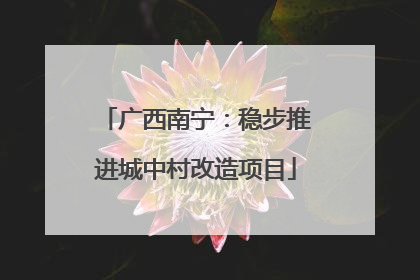广西南宁：稳步推进城中村改造项目