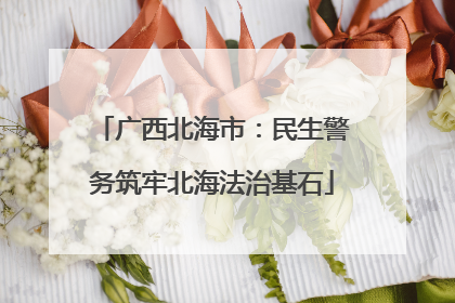 广西北海市：民生警务筑牢北海法治基石