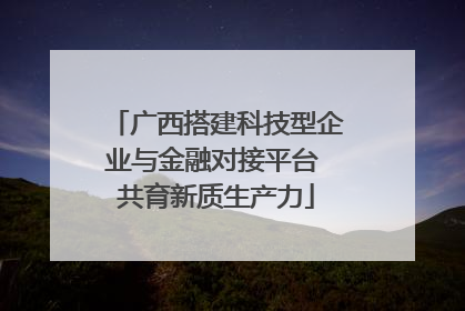 广西搭建科技型企业与金融对接平台 共育新质生产力