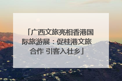 广西文旅亮相香港国际旅游展：促桂港文旅合作 引客入壮乡