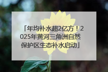 年均补水超2亿方！2025年黄河三角洲自然保护区生态补水启动
